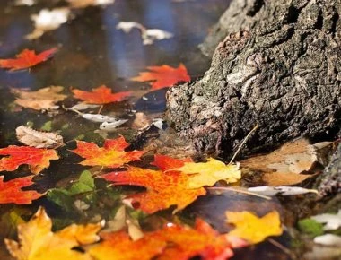 Δείτε τι μας συμβαίνει επειδή μικραίνει η διάρκεια της ημέρας
